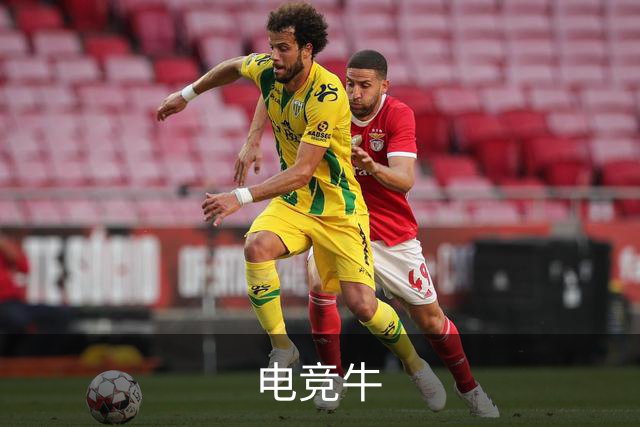 电竞牛公司简介